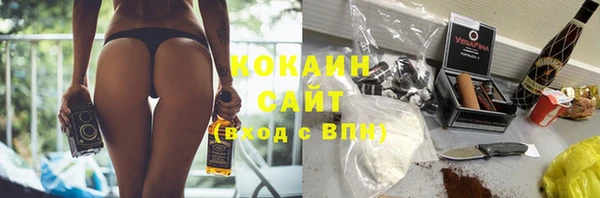 гашик Новодвинск