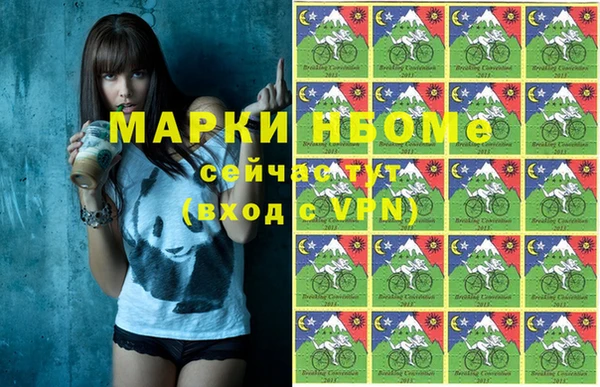 гашик Новодвинск
