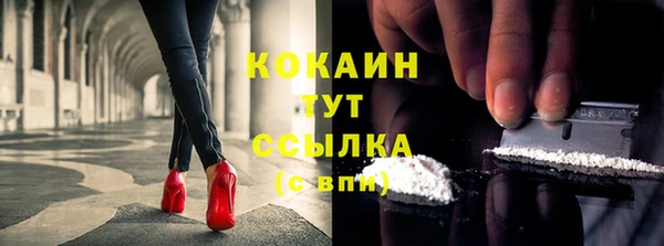 гашик Новодвинск