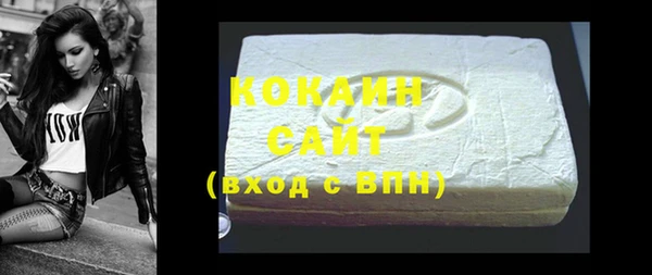 гашик Новодвинск