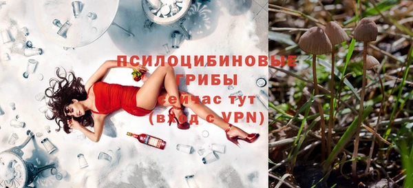 jwh Новокубанск