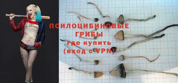 бутират Новозыбков