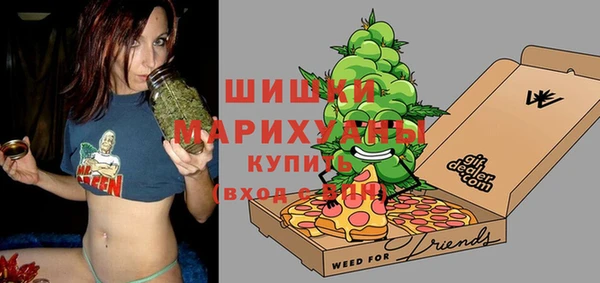 гашик Новодвинск