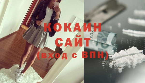 гашик Новодвинск