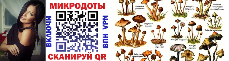 Галлюциногенные грибы GOLDEN TEACHER  Новотроицк 